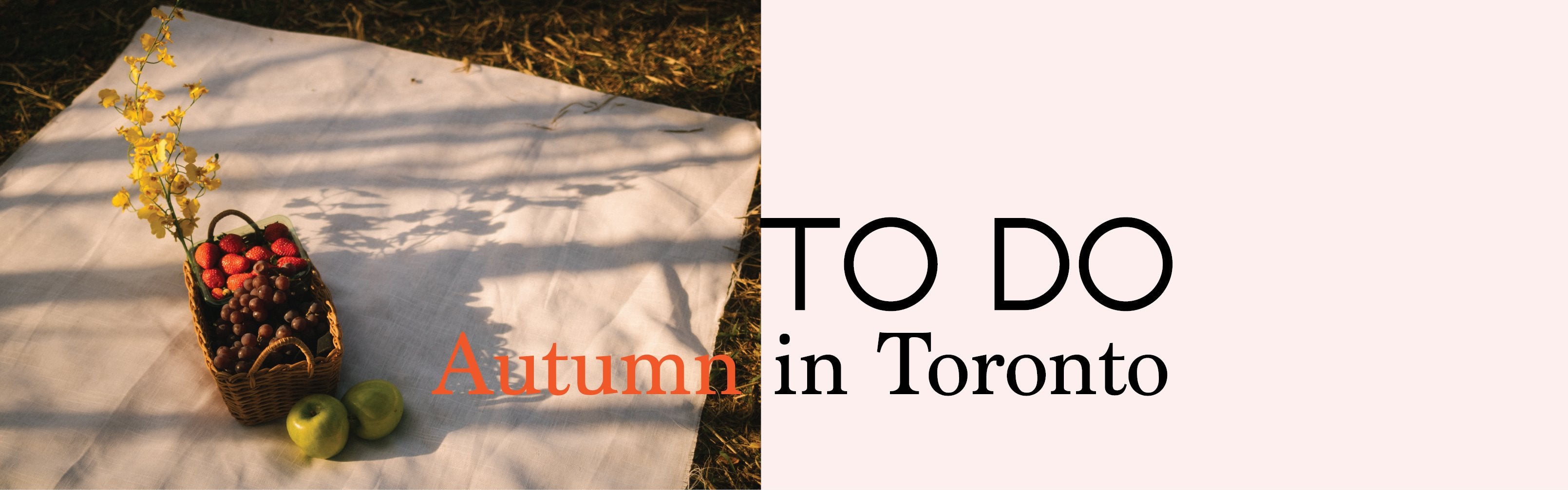 To Do: Autumn in Toronto