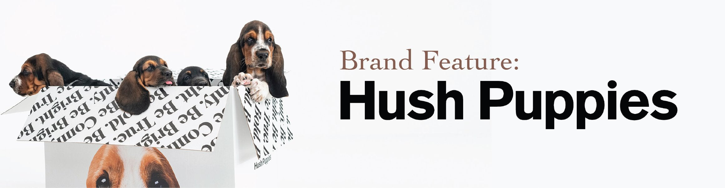 Brand Feature: Hush Puppies