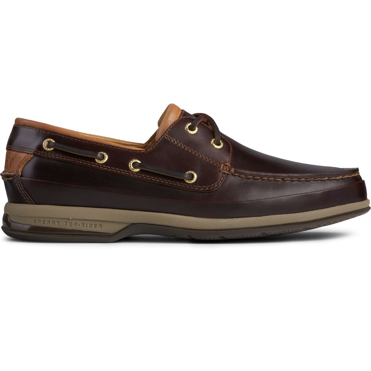 Chaussures Sperry Gold Boat pour homme avec Asv couleur Amaretto