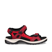 ECCO Women's Offroad in Brick/Chili Red