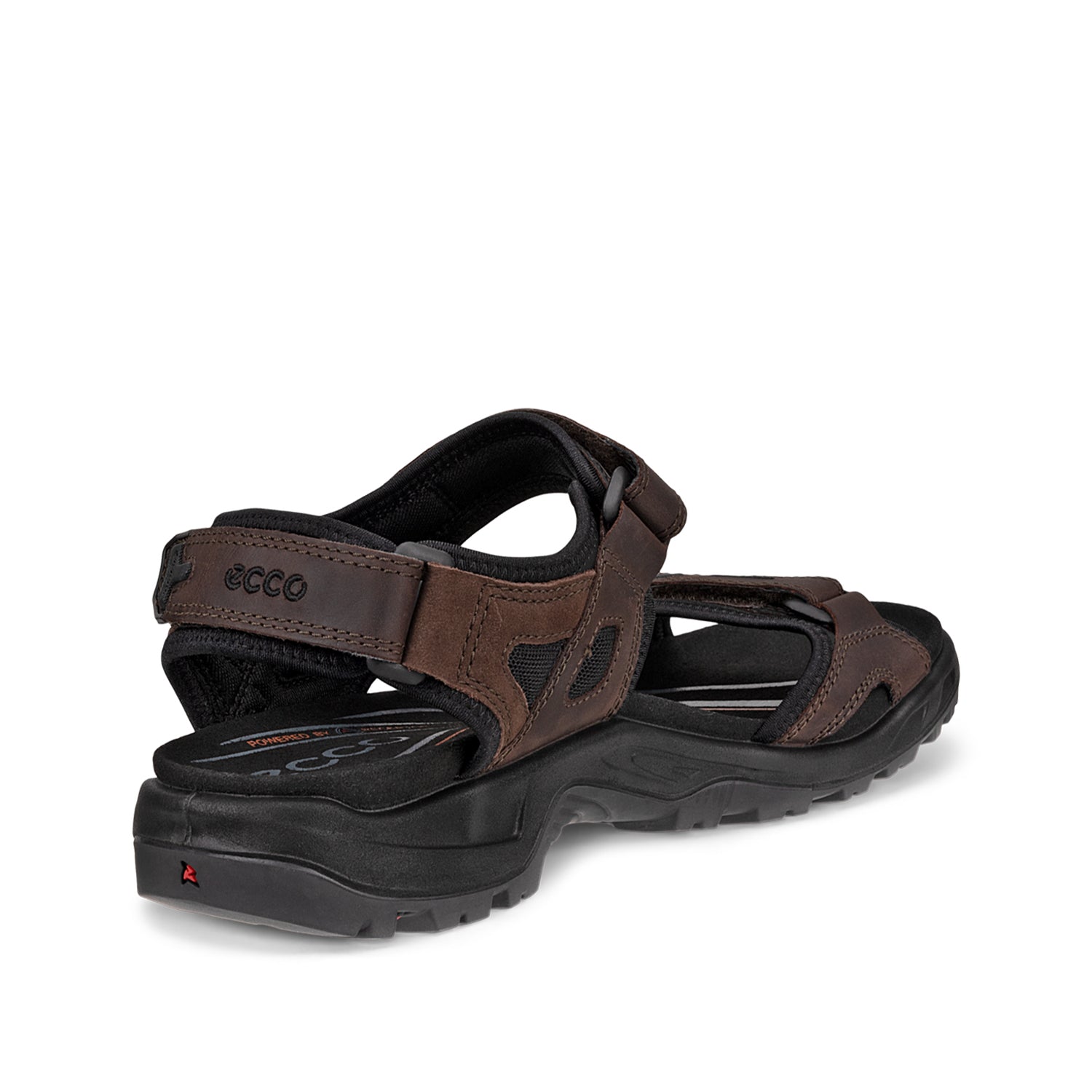 ECCO Men's Offroad in Mocha