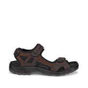 ECCO Men's Offroad in Mocha