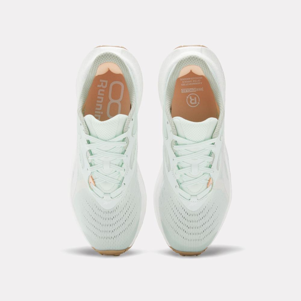 Reebok Footwear  Women's Floatride Energy 5 Reebok Running Ftw Women Turquoise M