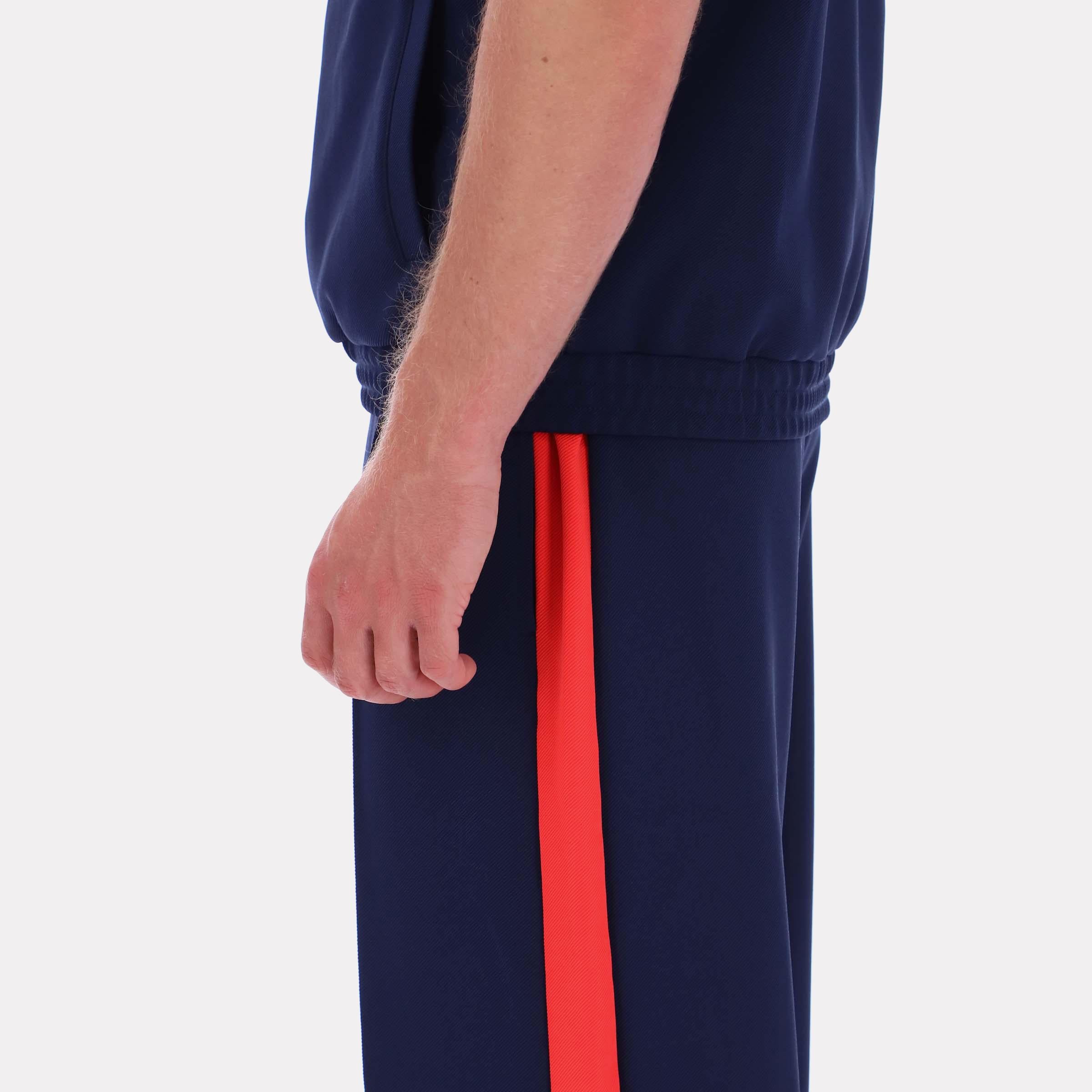 Pantalon de jogging Reebok pour homme, color block, Reebok Classics App, bleu, modèle standard