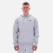 Sweat à capuche Reebok Apparel pour homme, logo Noah petit format, gris standard