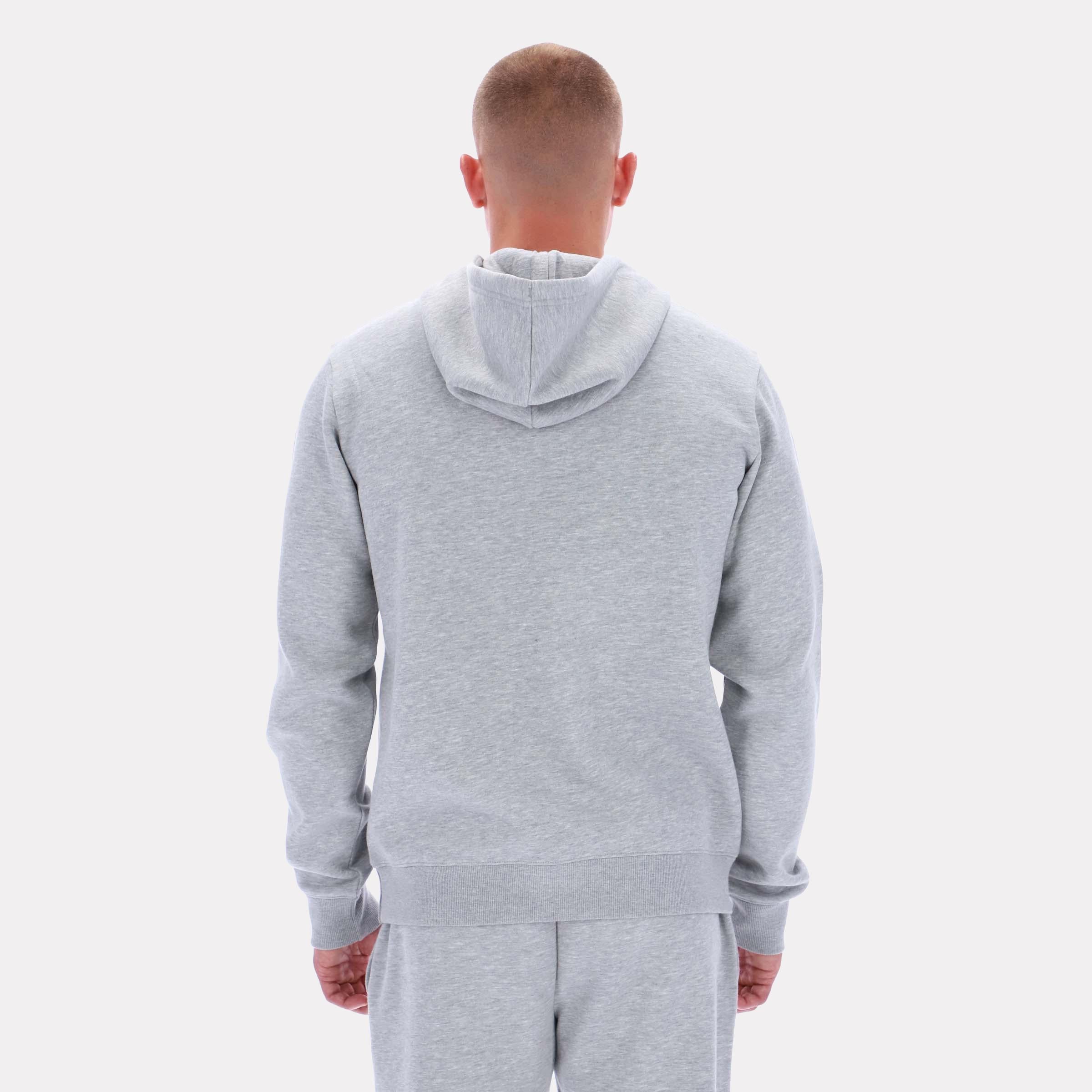 Sweat à capuche Reebok Apparel pour homme, logo Noah petit format, gris standard