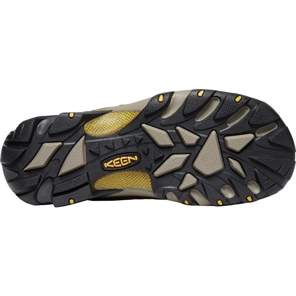 Keen Men's Targhee II WP Wide in Cascade Brown/Golden Yellow