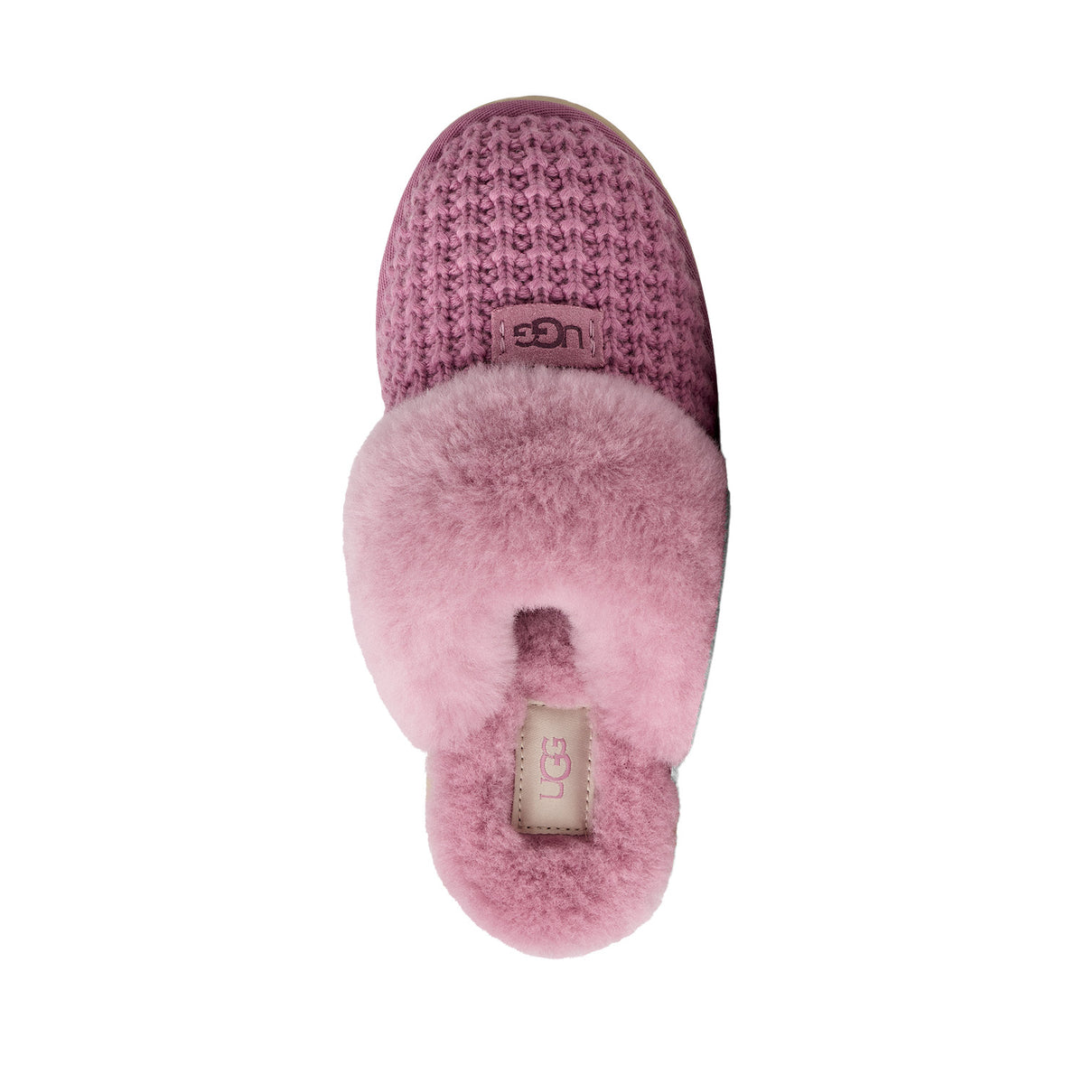 UGG Women's Cozy in Dusty Orchid