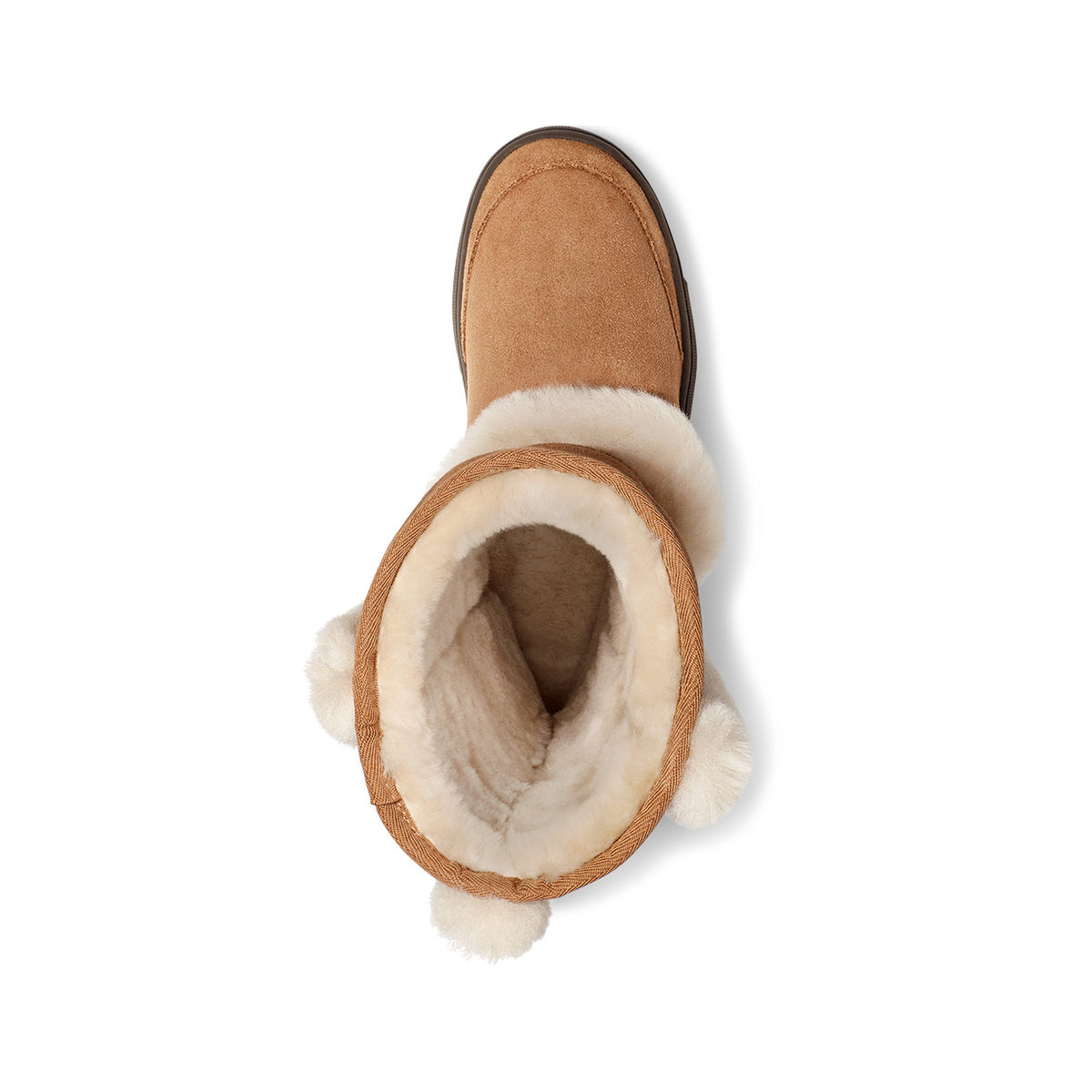 UGG Women's Sunburst Tall in Chestnut