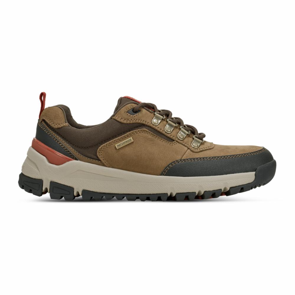 Dunham Men's Alpinel Casual Laceup Brown 4E