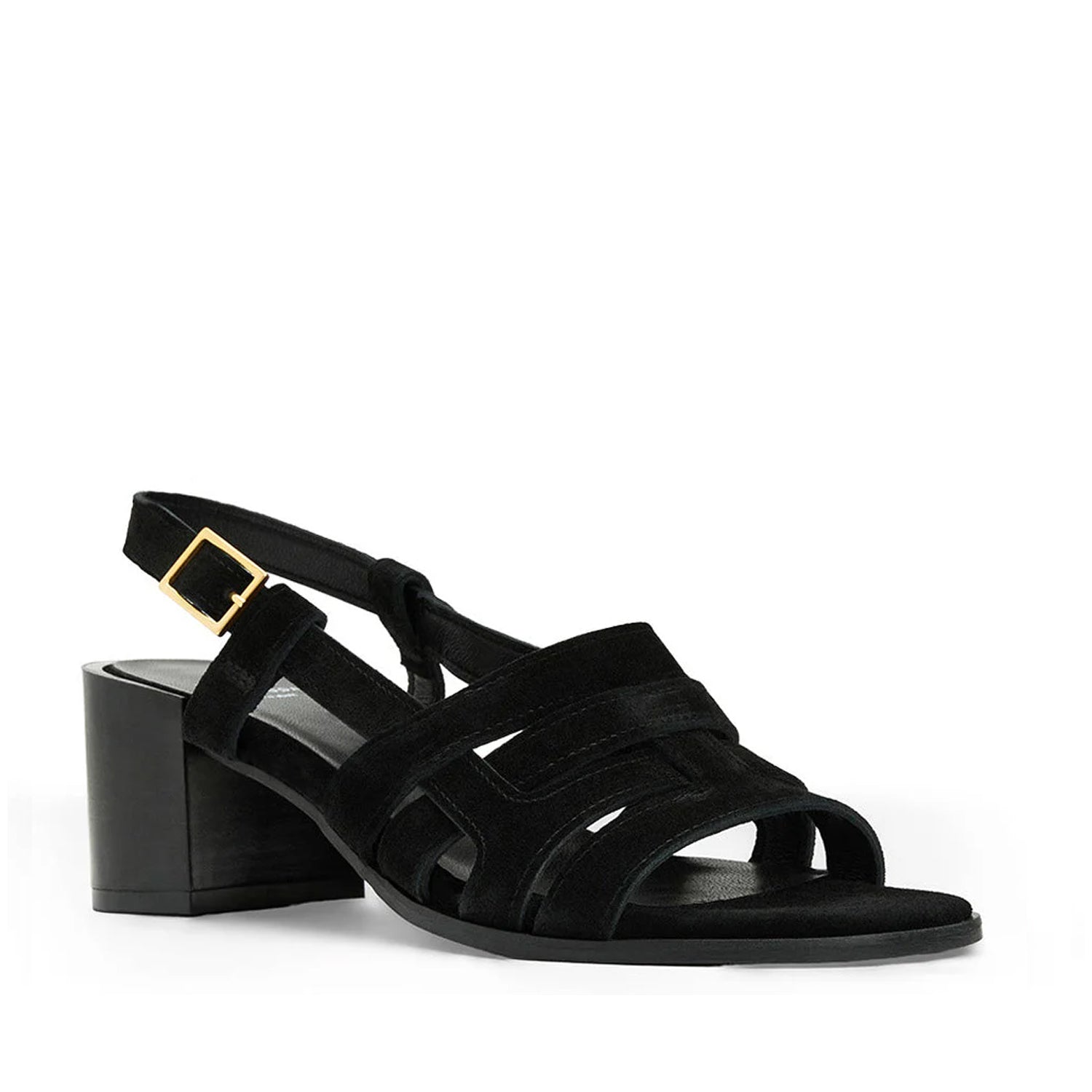 Aquatalia Women's Dimaro in Black