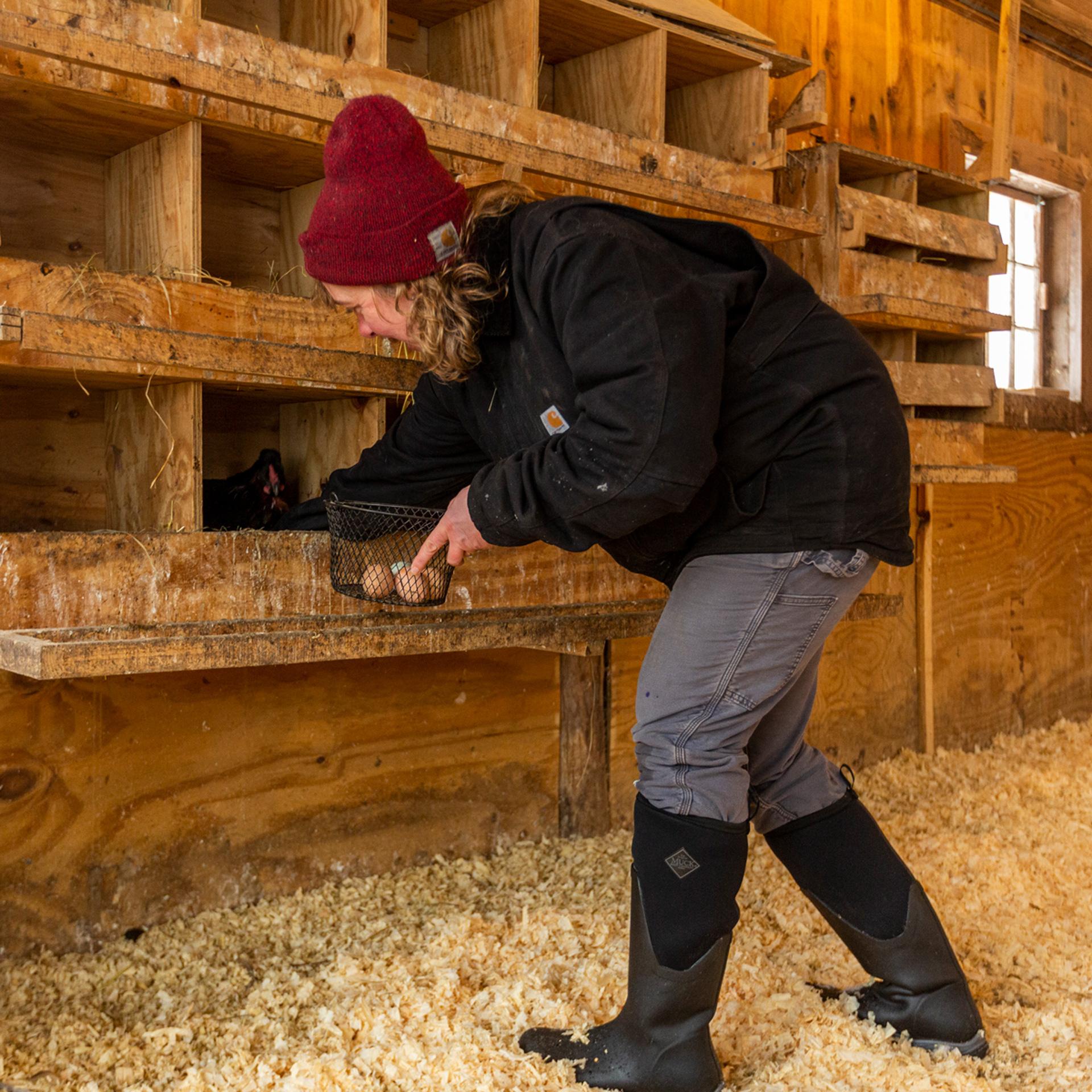 Chaussures Muck Arctic Sport II pour femmes, taille haute, noires, taille M