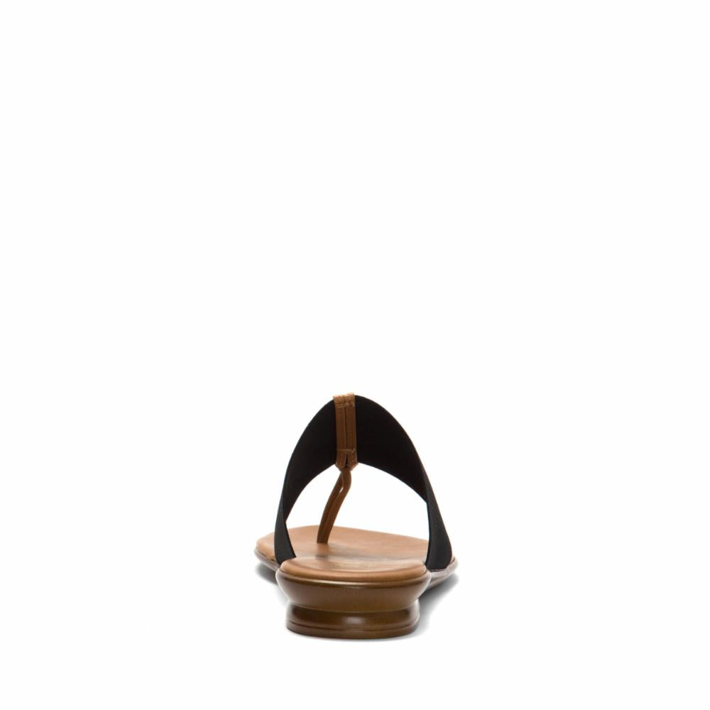 Italian Shoemakers Women's Briley Black M