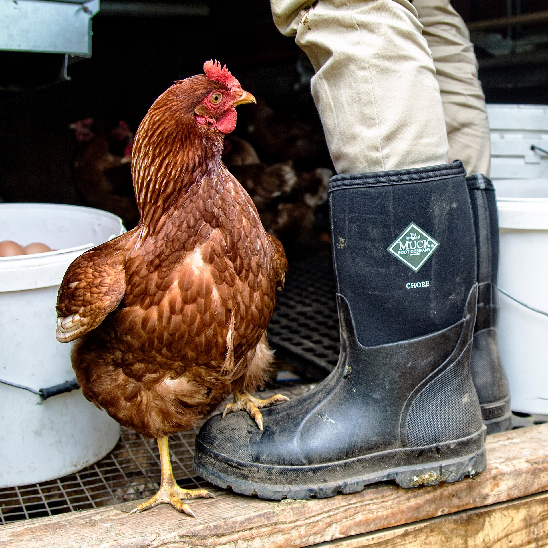 Muck Men's Chm000a In Black