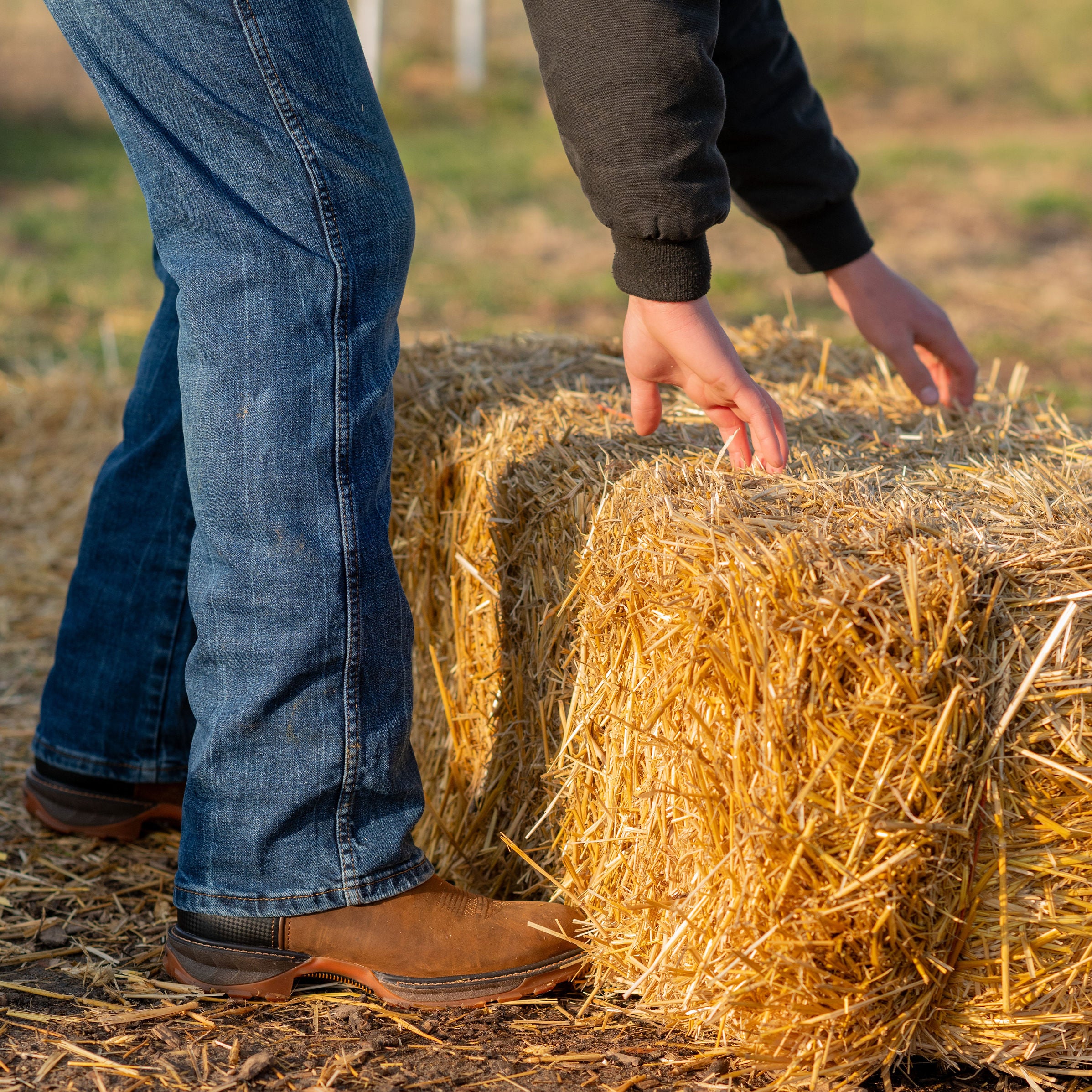 Durango Men's Maverick Xp  11"  Waterproof Work Boot In Coyote W