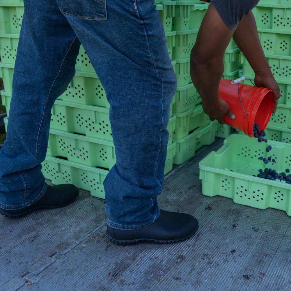 Muck Footwear  Men's Muckster Ii Low Muckster Black M