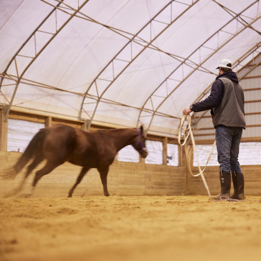 Muck Footwear  Men's Chore Western 15 Pull-On Chore Western Brown M