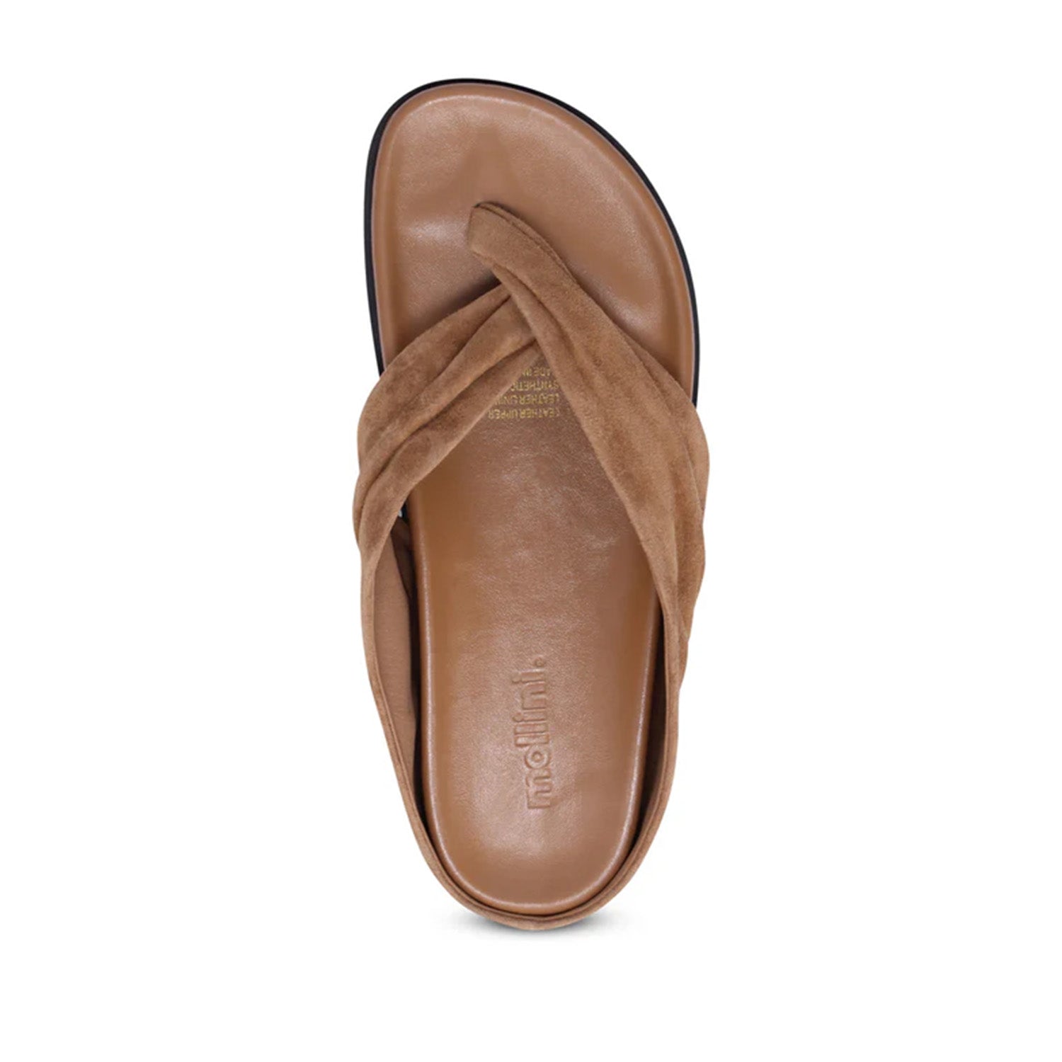 Mollini Women's Hedley in Coffee