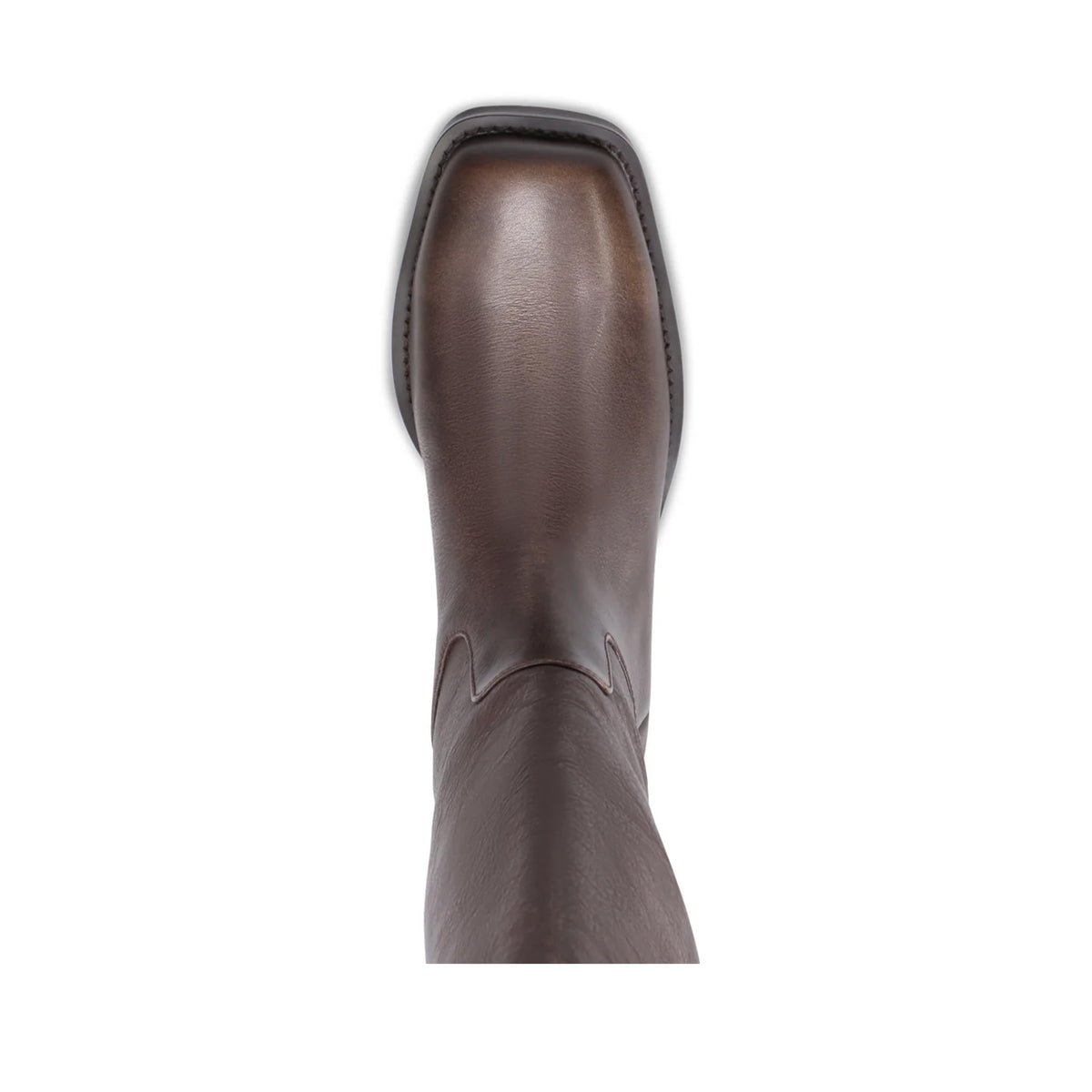 Mollini Women's Heevan Tall Boot in Smokey Brown