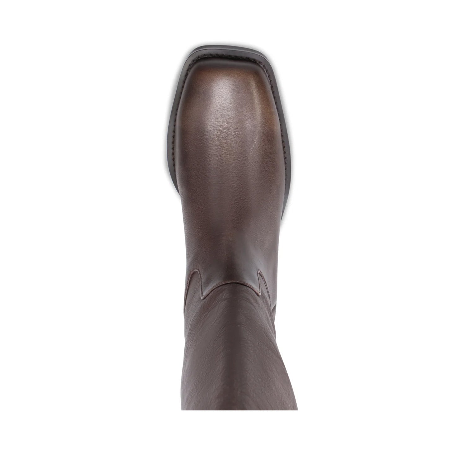Mollini Women's Heevan Tall Boot in Smokey Brown
