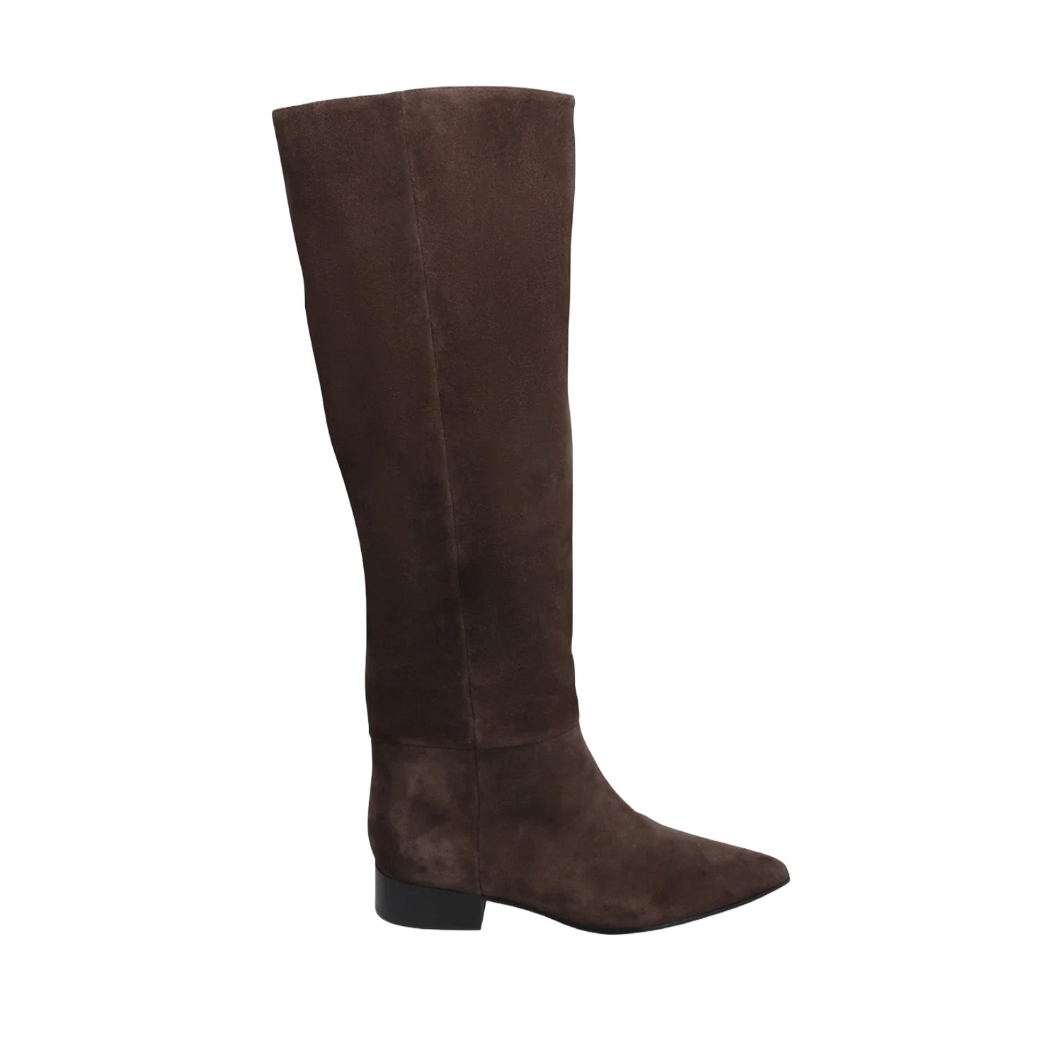 Mollini Women's Sabasti Tall Boot in Dark Chocolate