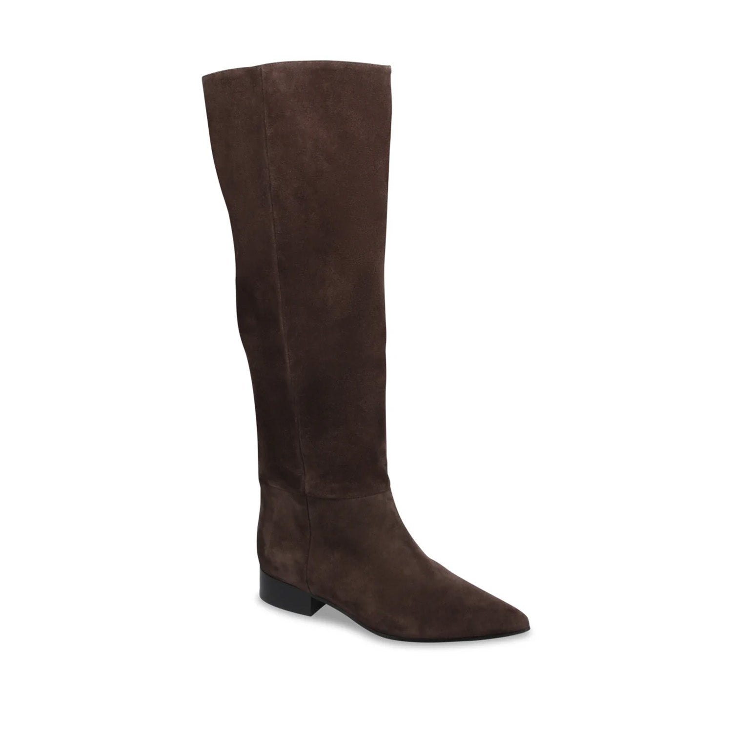 Mollini Women's Sabasti Tall Boot in Dark Chocolate