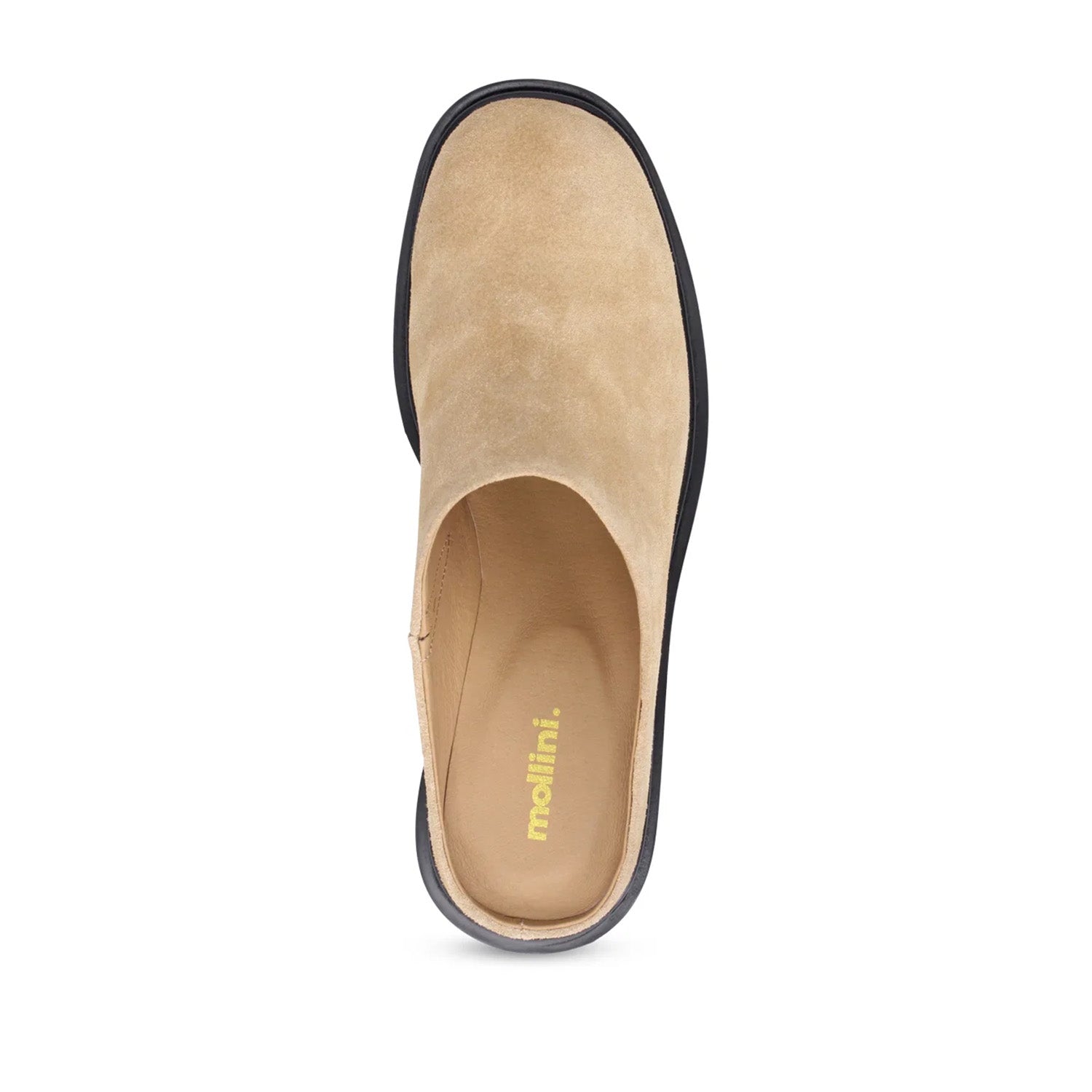 Mollini Women's Semille Platform Mule in Camel Suede