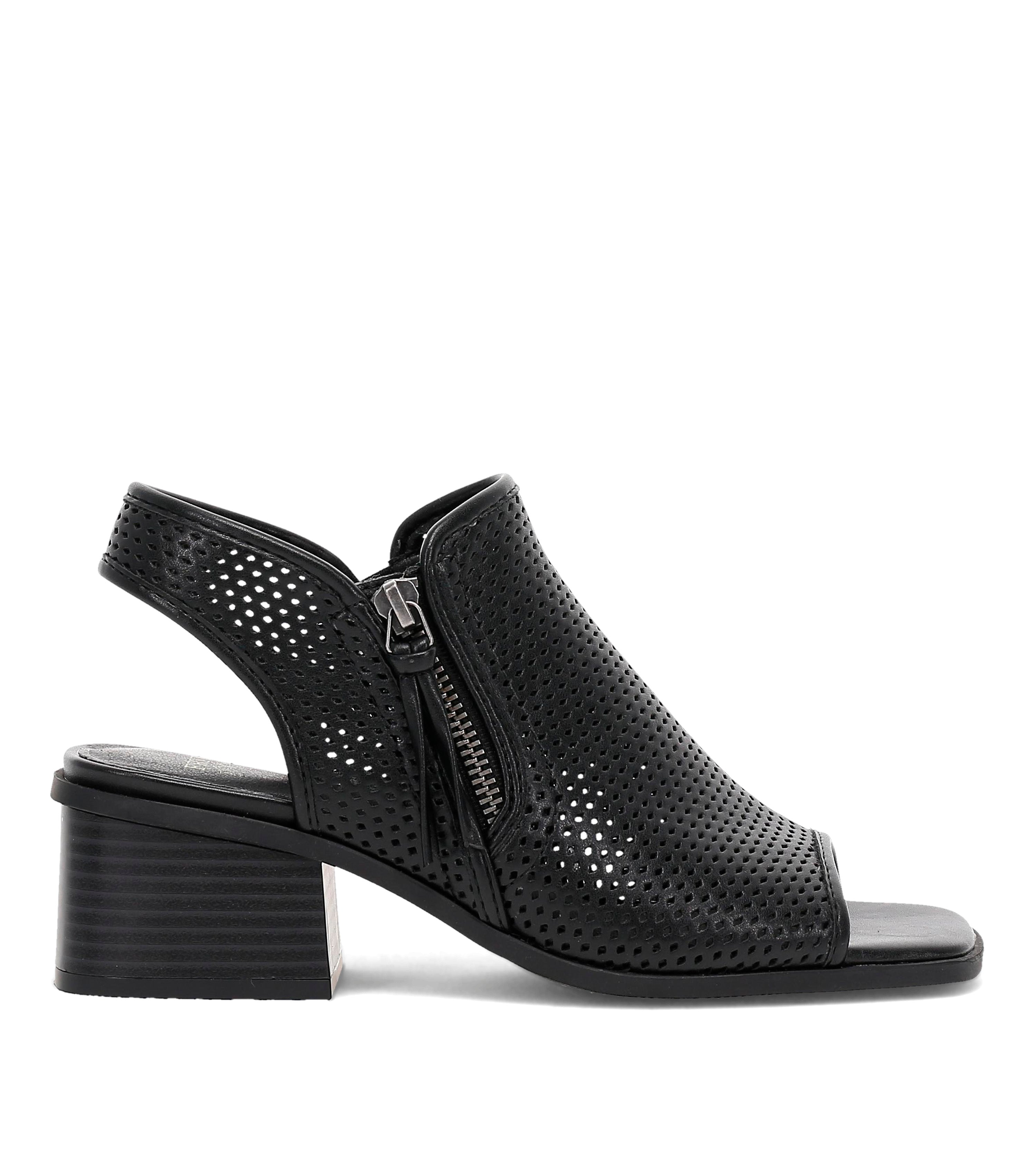 Frye & Co Women's Oasys M In Black