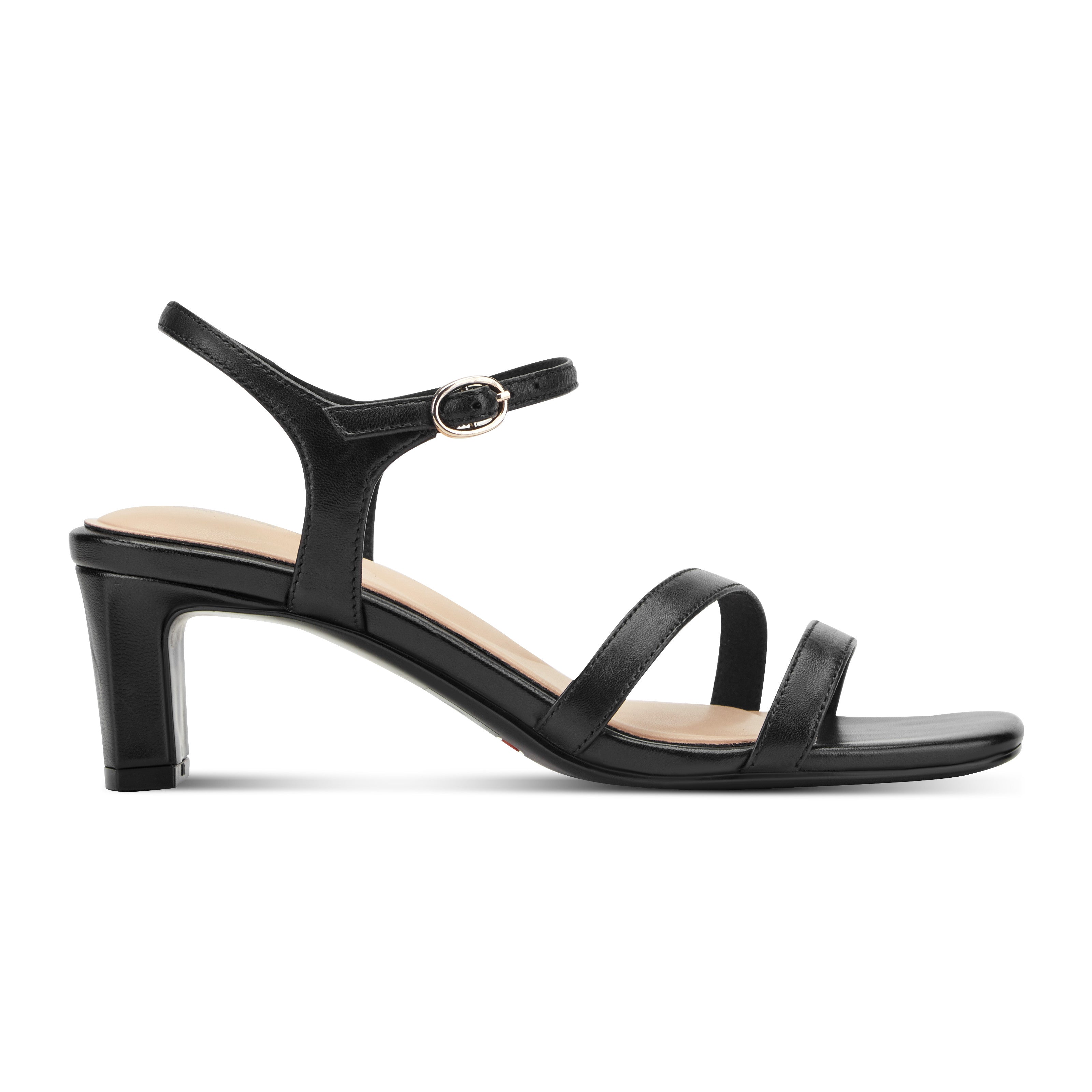 Rockport Women's Teddy In Black/Cationic M