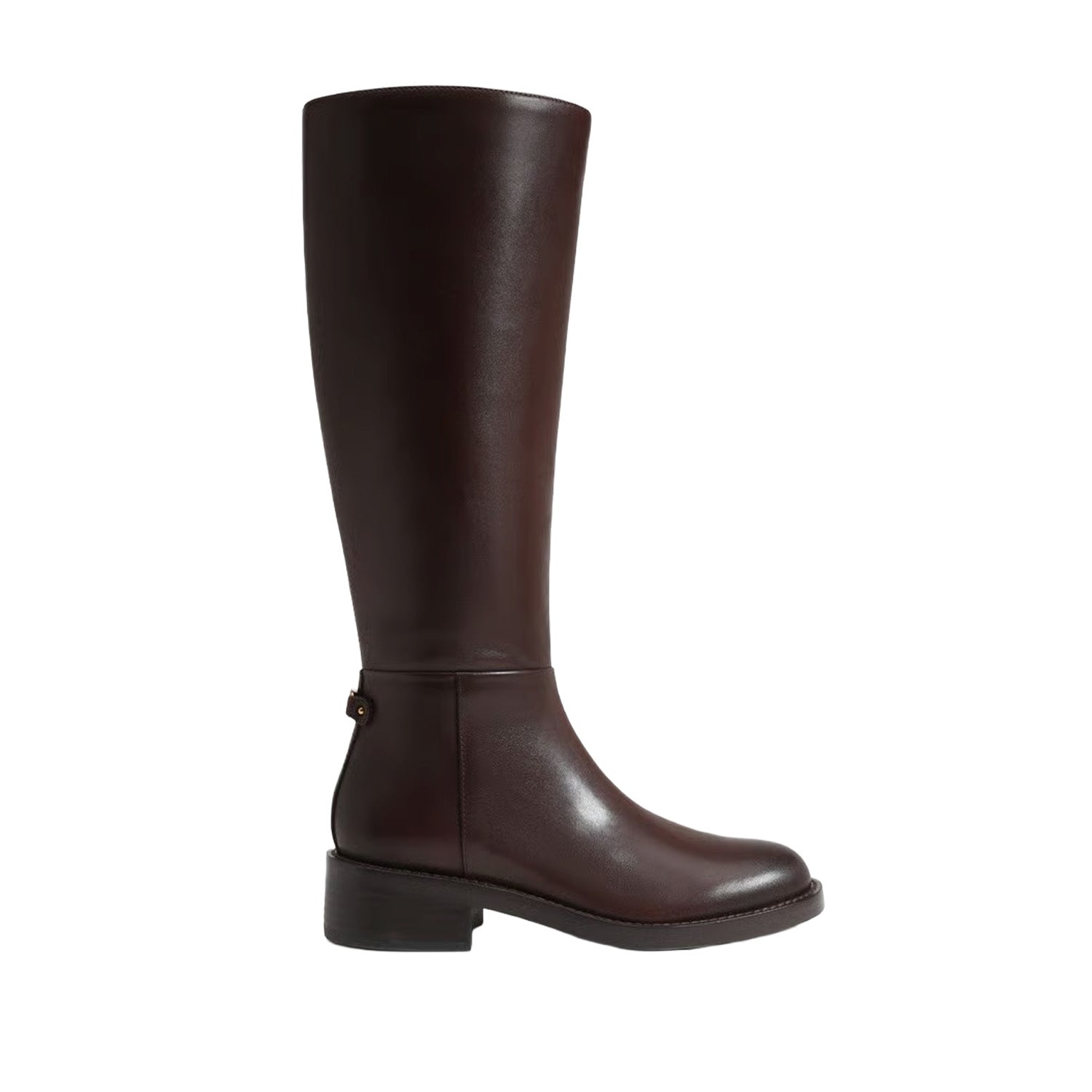 brown leather riding boot on a white background