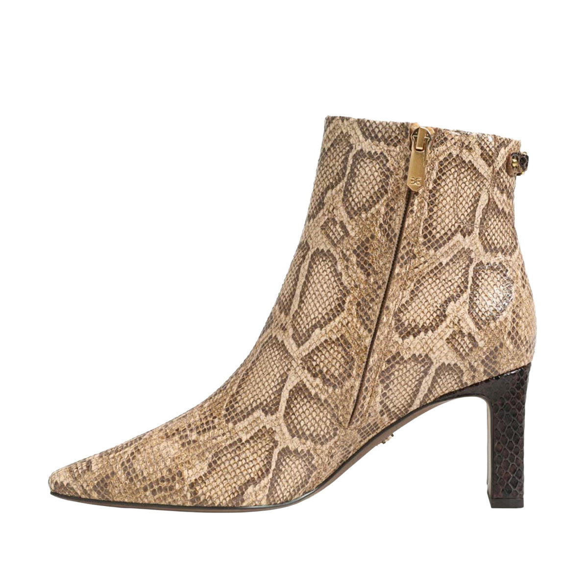 Sam Edelman Women's Saige in Brown Snake