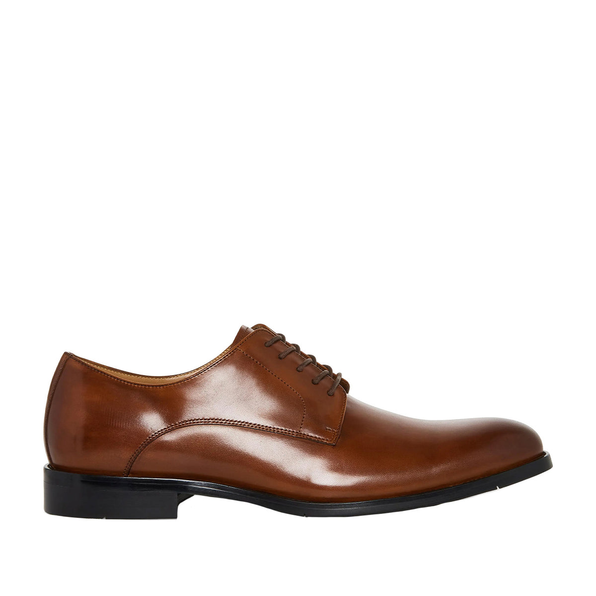 Steve Madden Men's Daedric in Tan