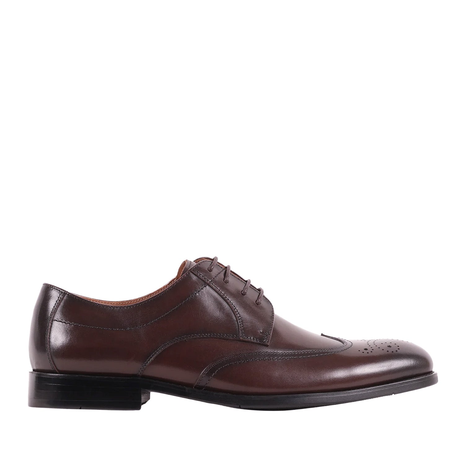 Brown dress shoe on a white background