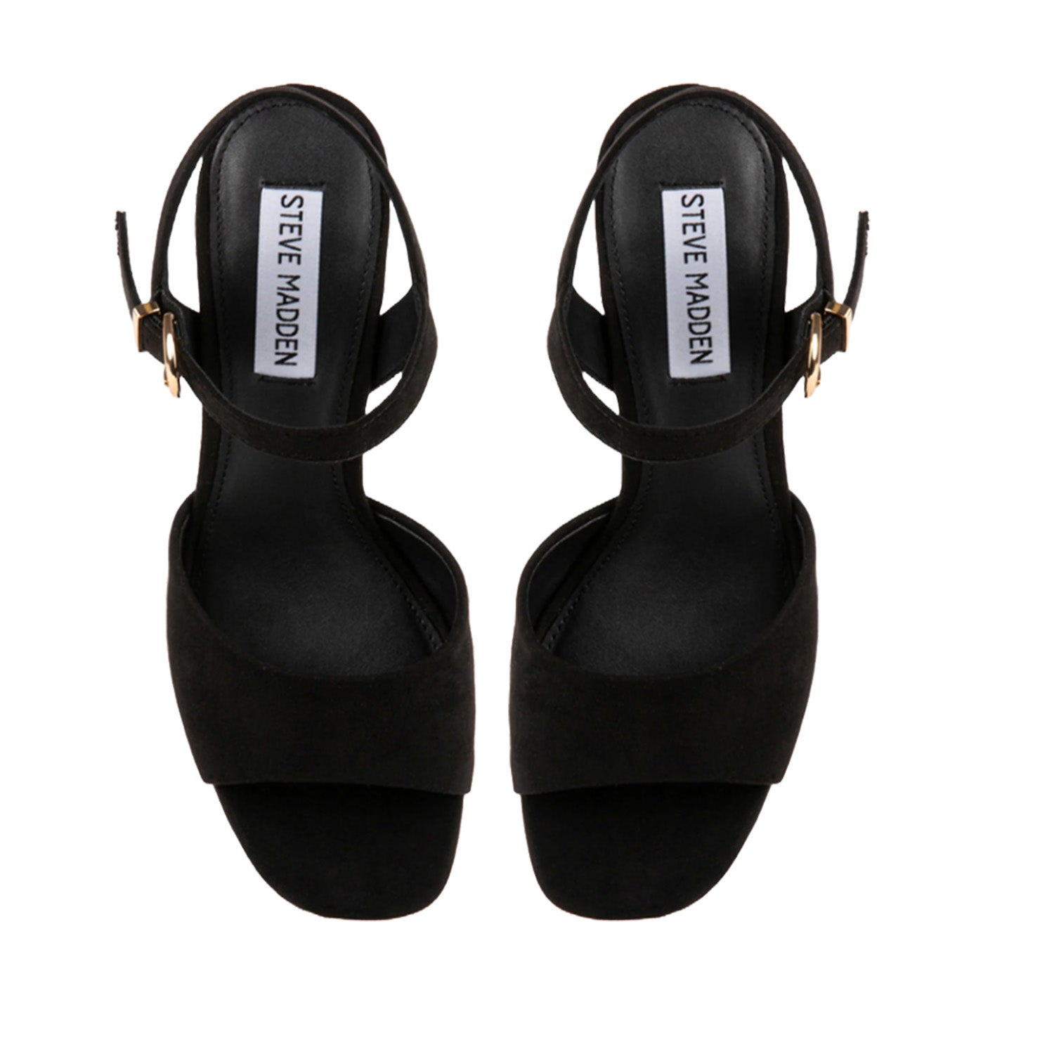 Steve Madden Women's Earthy in Black