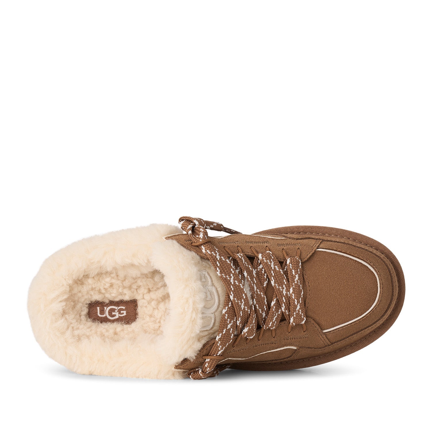 UGG Women's Lowmel Mule in Chestnut