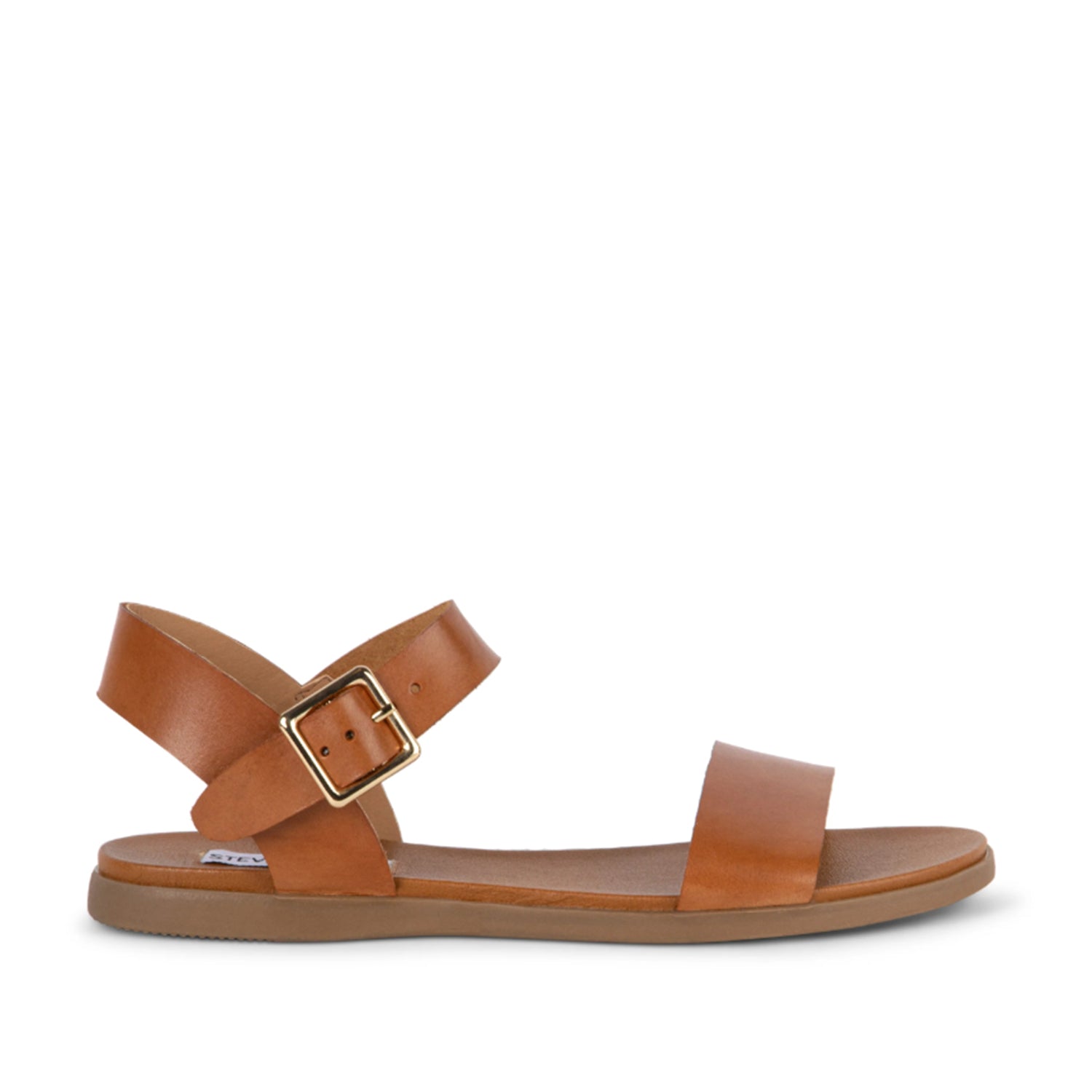 Steve Madden Women's Daryn in Cognac