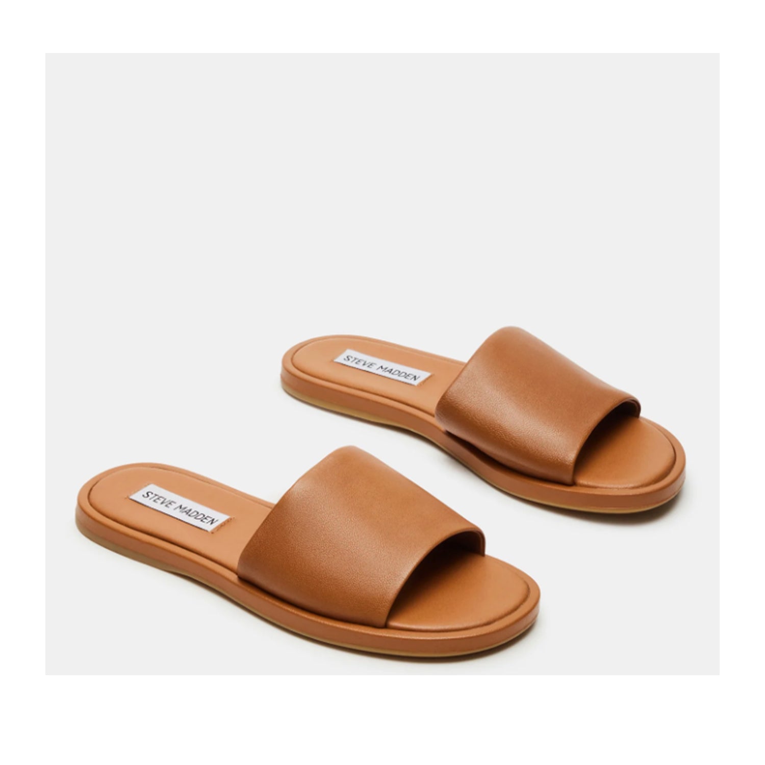 Baskets Kaya pour femme de Steve Madden, couleur marron