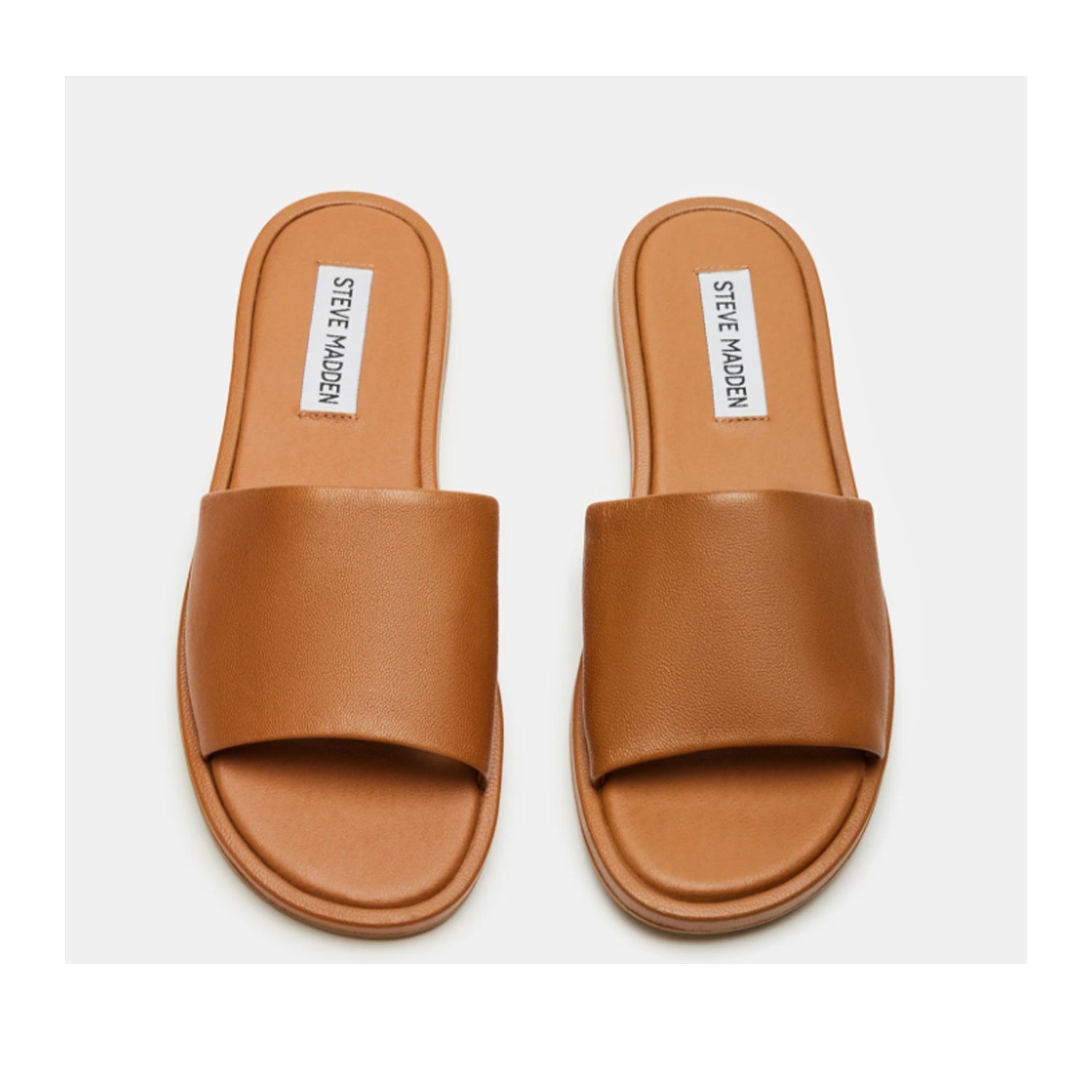 Baskets Kaya pour femme de Steve Madden, couleur marron