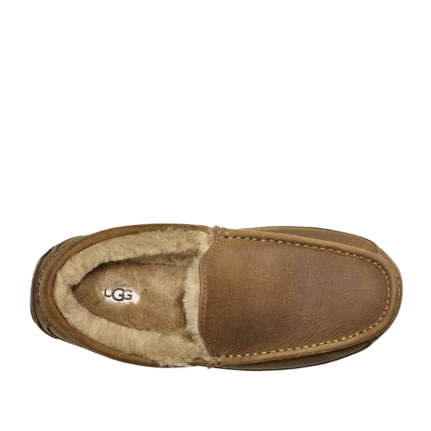 UGG Men's Ascot in Tan